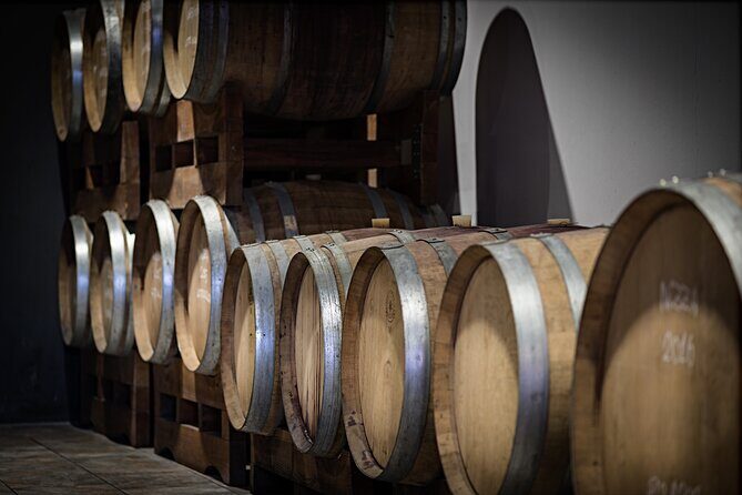 Monferrato (Asti): Wine Tour with light lunch picnic in the vineyards - What the Tour Entails: A Detailed Breakdown