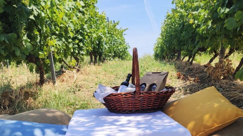 Monferrato: Garetto Wine Estate Tour and Picnic Private - Who Should Consider This Tour?