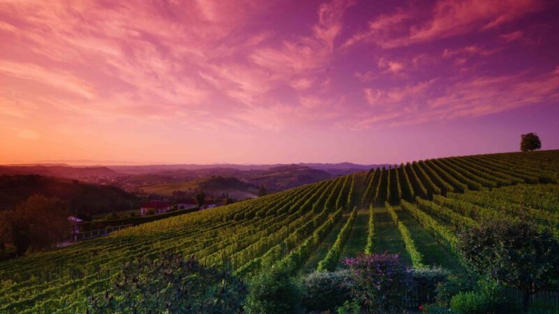 Monferrato: Garetto Wine Estate Tour and Picnic Private - FAQs