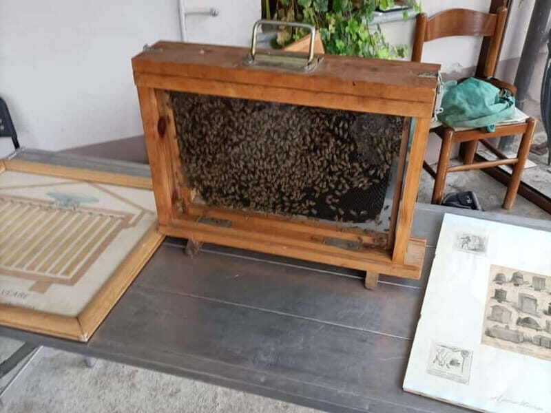 Monferrato: Honey and Mead Tasting Experience - Key Points