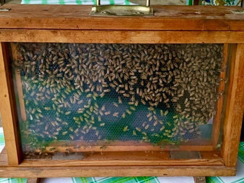 Monferrato: Honey and Mead Tasting Experience - Practical Tips for Your Visit