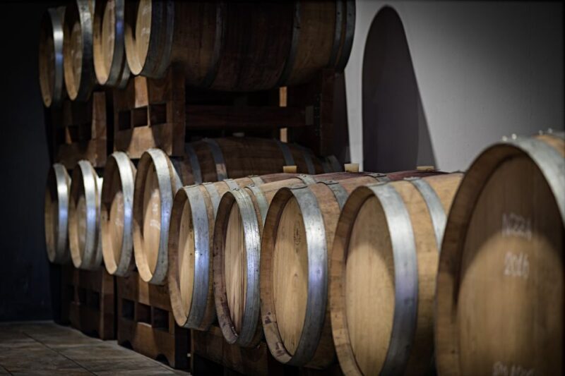 Monferrato: Wine Tour & Picnic in the Vineyards - What to Expect From the Tour