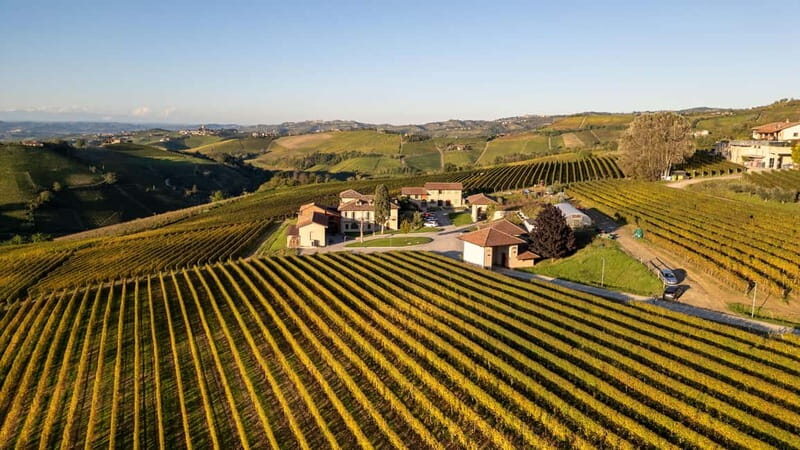 Monforte d'Alba: 7 glasses of Langhe with visit to Winery and Vineyards - Key Points