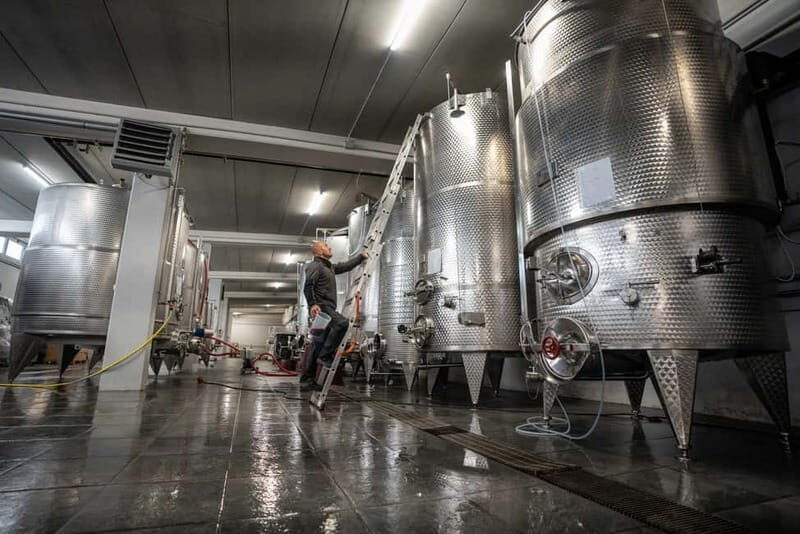 Monforte d'Alba: 7 glasses of Langhe with visit to Winery and Vineyards - The Itinerary Breakdown