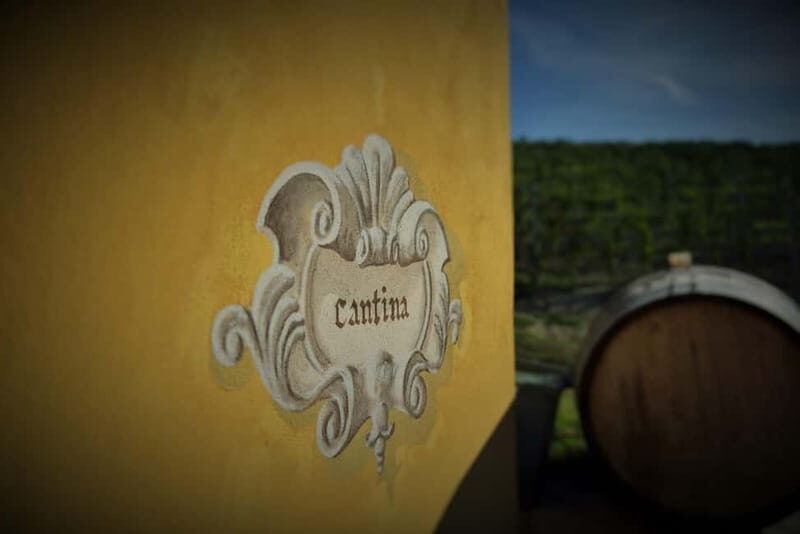 Monforte d'Alba: Wine and Chocolate Tasting Experience - Key Points