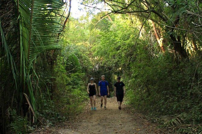 Monkey Mountain Jungle Hike Adventure - Final Thoughts: Who Will Love This Tour?