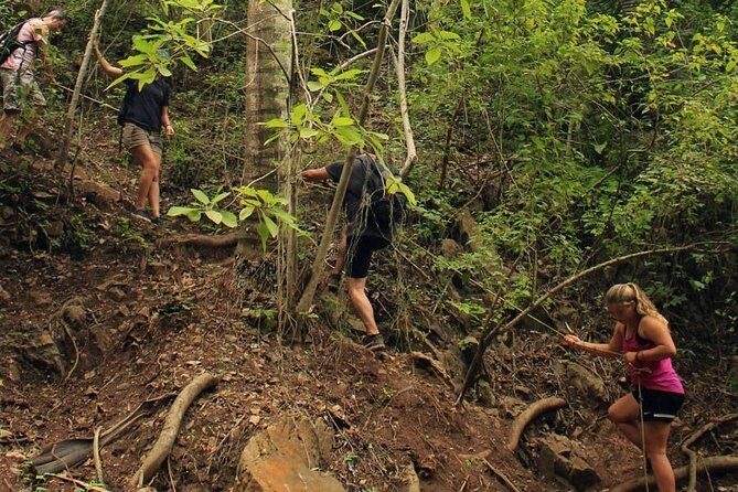 Monkey Mountain Jungle Hike Adventure - FAQs About Monkey Mountain Jungle Hike Adventure