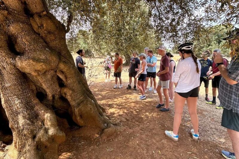 Monopoli: E-Bike Tour with Sandwich and Wine - Who Will Love This Experience?