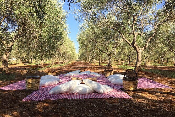 Monopoli's Countryside by Bike - Why People Love This Tour