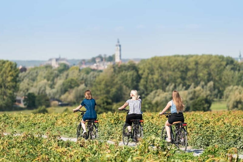 Mons : City Center Bike Rental for Sightseeing & Exploring - How the Experience Runs
