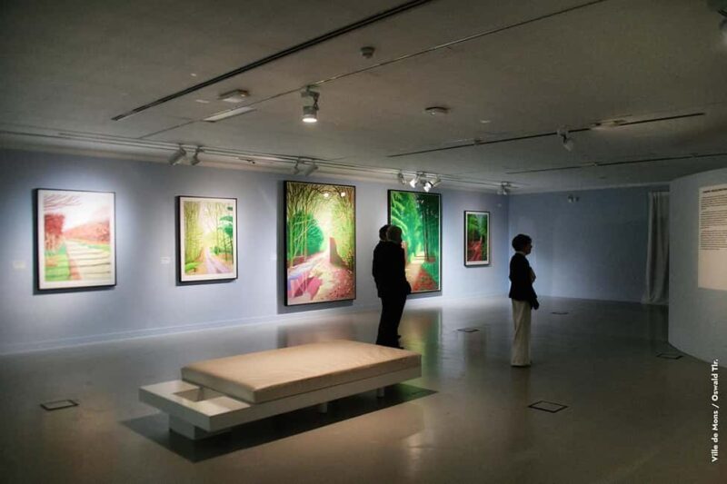 Mons: Guided tour of the "David Hockney. The Song of the Earth" - FAQ