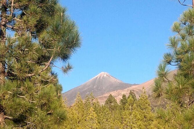 Monster Quad Teide Tour - Insights from Reviewers