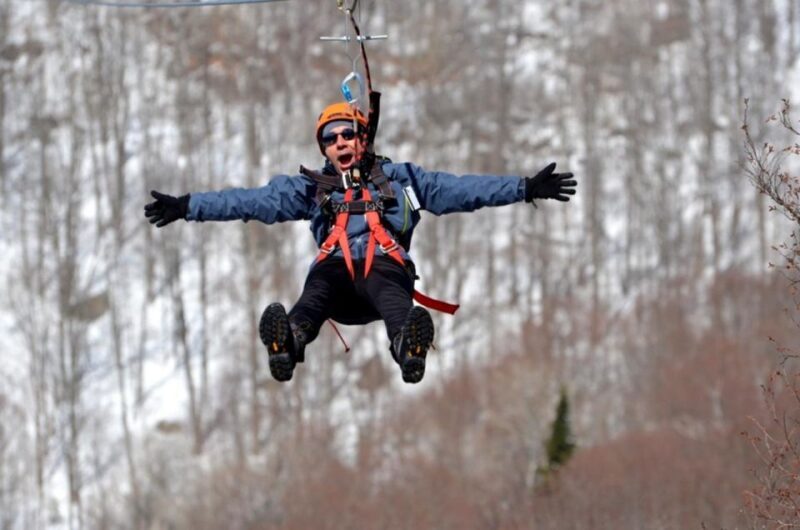 Mont-Catherine: Ziplines & Hike - Authentic Traveler Feedback