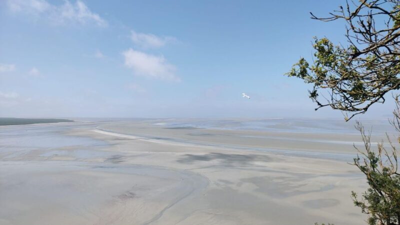 Mont-St-Michel: Small Group Guided Tour with Abbey Ticket - The Experience: What to Expect from the Tour