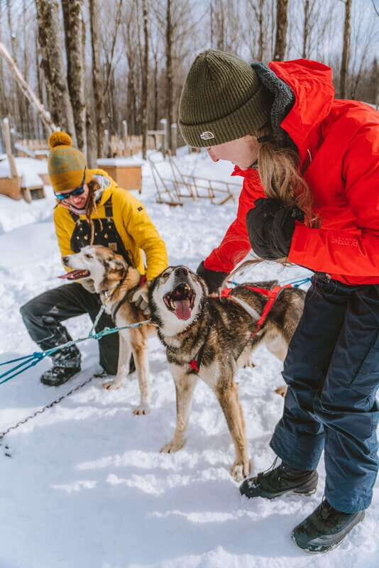 Mont-Tremblant: Dogsledding Upper Laurentians - Mont-Tremblant: Dogsledding Upper Laurentians – An Honest Look