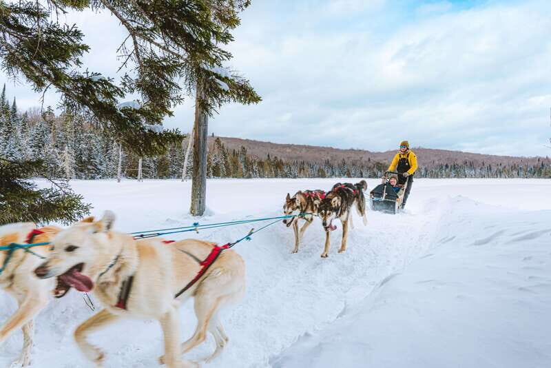 Mont-Tremblant: Dogsledding Upper Laurentians - Is It Worth the Price?