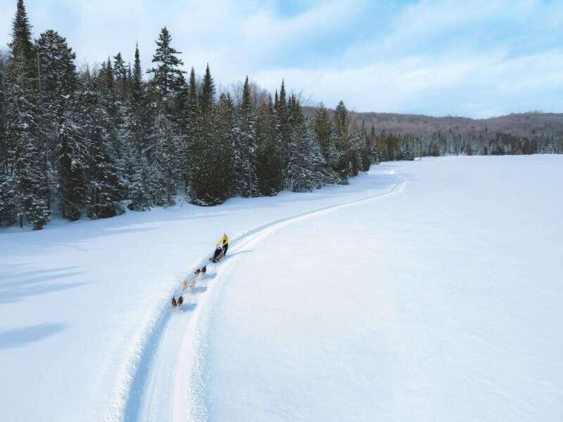 Mont-Tremblant: Dogsledding Upper Laurentians - FAQ — Practical Questions About the Dogsledding Tour