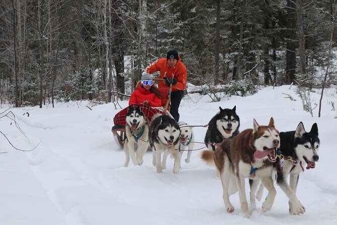 Mont Tremblant Dogsledding Valley Adventure - Frequently Asked Questions