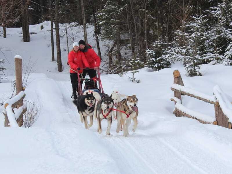 Mont-Tremblant: Dogsledding Valley Adventure - Frequently Asked Questions