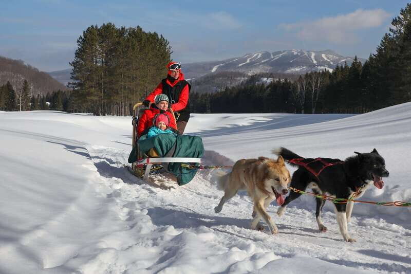 Mont-Tremblant: Guided Dogsledding Tour with Hot Chocolate - Key Points