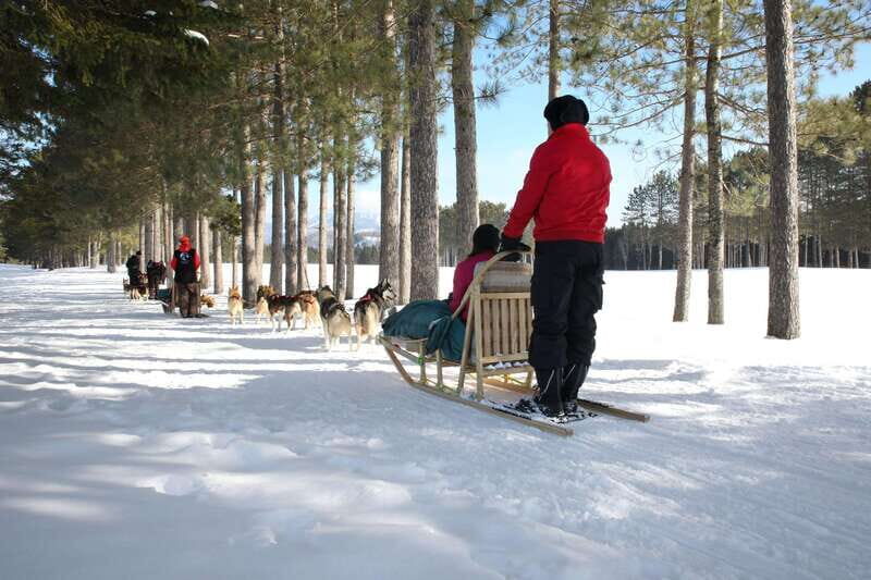 Mont-Tremblant: Guided Dogsledding Tour with Hot Chocolate - The Practical Details: Timing, Price, and Group Size