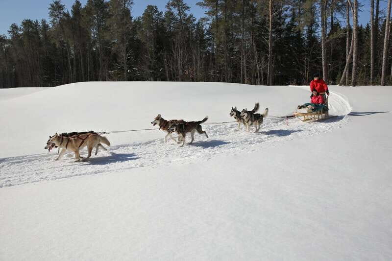 Mont-Tremblant: Guided Dogsledding Tour with Hot Chocolate - Final Thoughts