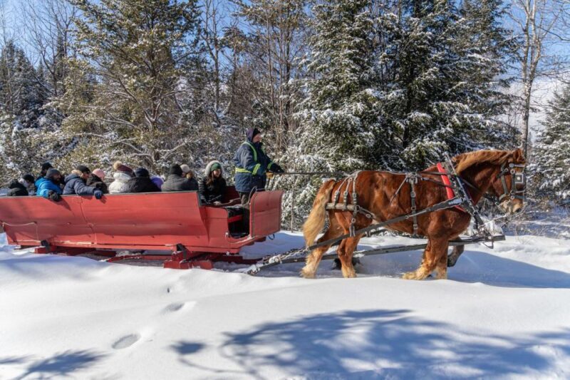 Mont-Tremblant: Sleigh Ride w/ Storytelling & Hot Chocolate - What Is the Mont-Tremblant Sleigh Ride Experience?