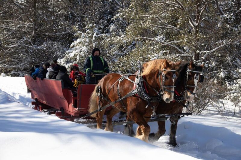 Mont-Tremblant: Sleigh Ride w/ Storytelling & Hot Chocolate - The Reviews: What Travelers Say