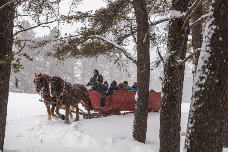 Mont-Tremblant: Sleigh Ride w/ Storytelling & Hot Chocolate - Practical Tips for Your Booking