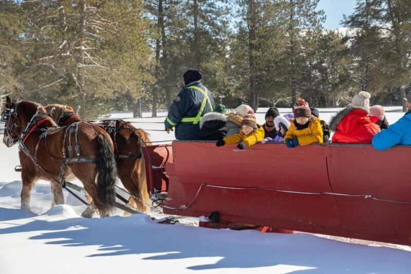 Mont-Tremblant: Sleigh Ride w/ Storytelling & Hot Chocolate - Who Should Consider This Experience?