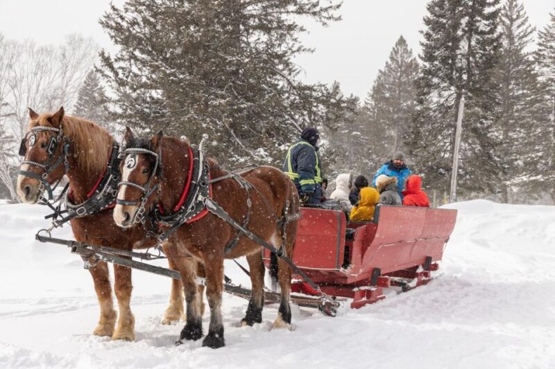 Mont-Tremblant: Sleigh Ride w/ Storytelling & Hot Chocolate - Final Thoughts