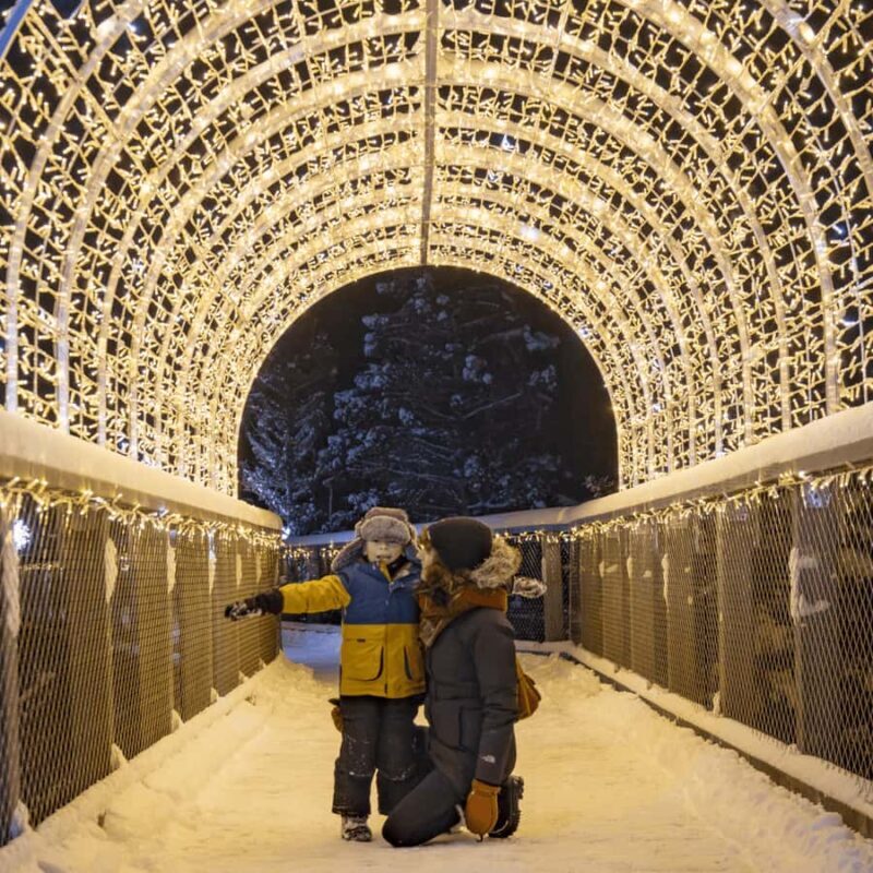 Mont-Tremblant: Treetop Observatory and Self-Guided Walk - Exploring the Mont-Tremblant Treetop Observatory and Self-Guided Walk