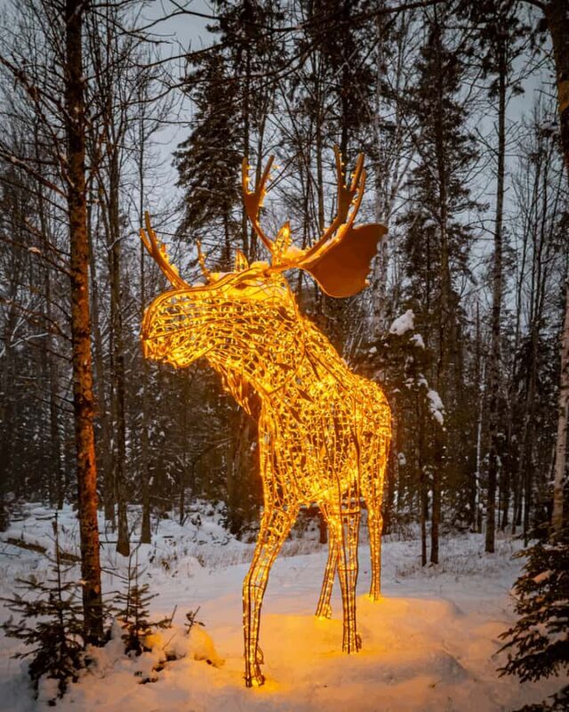Mont-Tremblant: Treetop Observatory and Self-Guided Walk - Practical Details