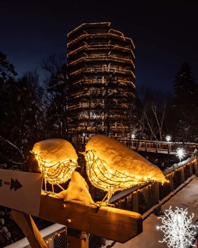 Mont-Tremblant: Treetop Observatory and Self-Guided Walk - Who Should Consider This Tour?