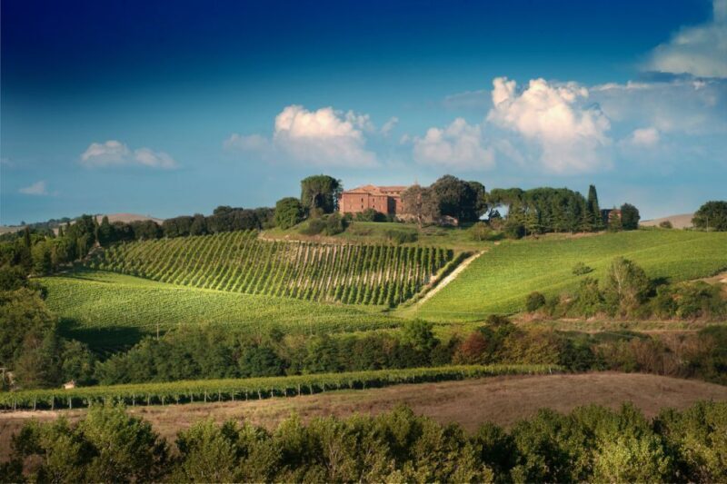 Montalcino: Brunello Wine Tasting Experience - Food Pairing: Simple but Authentic
