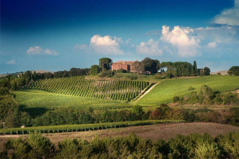 Montalcino: Brunello Wine Tasting & Lunch in a Tuscan Castle - The Practical Details