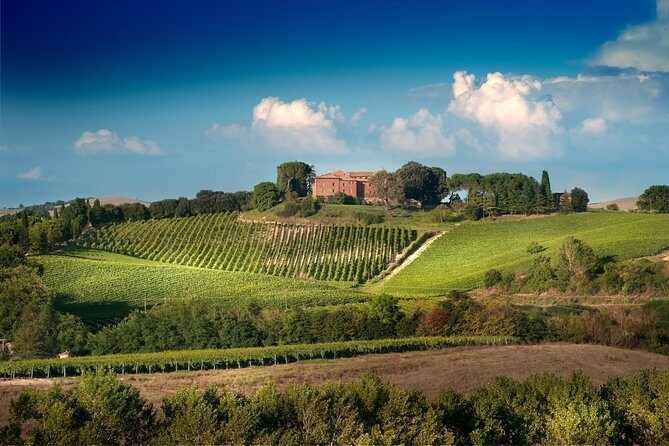 Montalcino Castle and Vineyards tour with tasting - What Is This Tour All About?