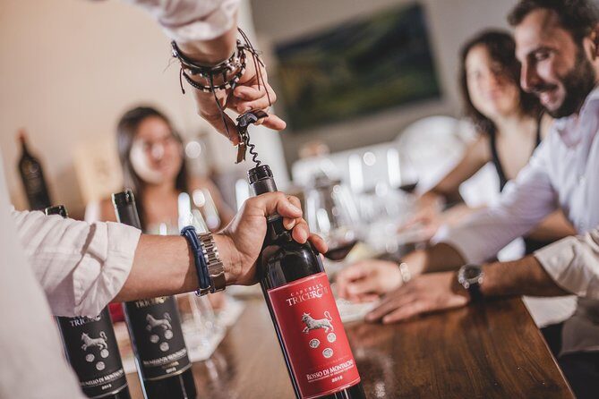 Montalcino Castle and Vineyards tour with tasting - The Practicalities: What You Need to Know