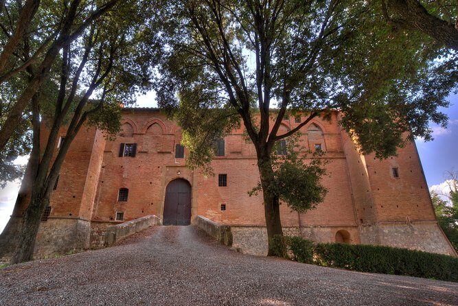 Montalcino Castle and Vineyards tour with tasting - The Sum Up