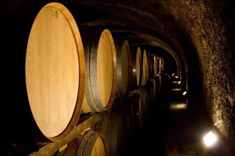 Montalcino: Crus Challenge - Who Should Consider This Tour?