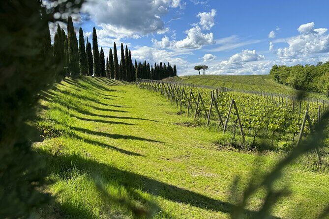 MONTALCINO Essence: Your PRIVAT E-Bike Experience, Top Quality! - Practical Details & Considerations