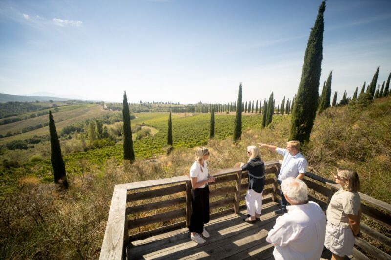 Montalcino: Guided Winery Tour and Wine Tasting - The Vineyard Walk and Cellar Visit
