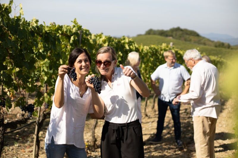 Montalcino: Guided Winery Tour and Wine Tasting - Price and Value