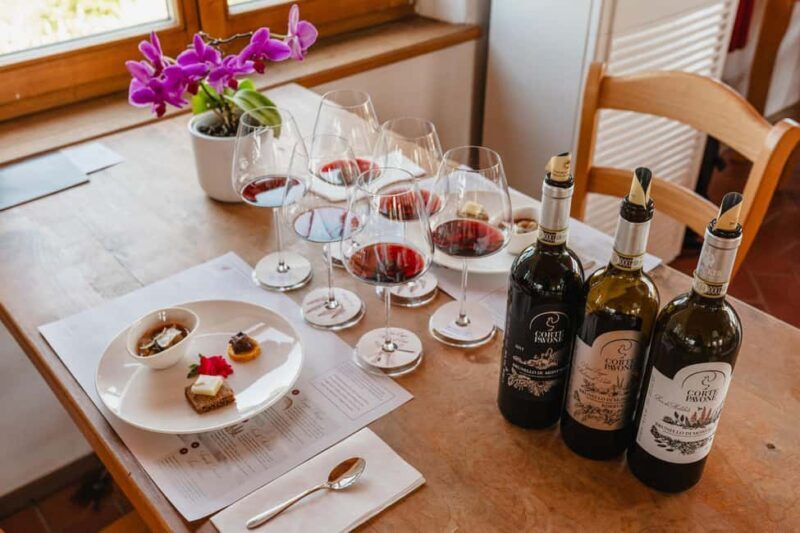 Montalcino: Guided Winery Tour & Gourmet Food Tasting - A Deep Dive Into the Experience