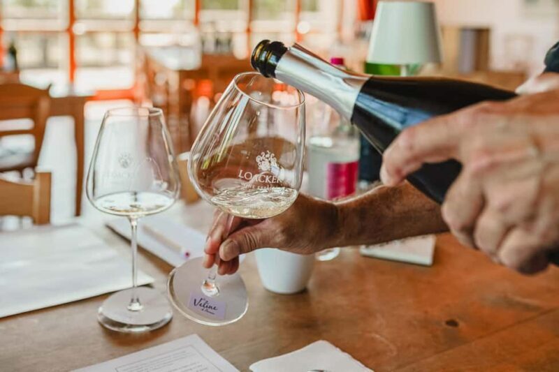 Montalcino: Guided Winery Tour & Gourmet Food Tasting - The Sum Up