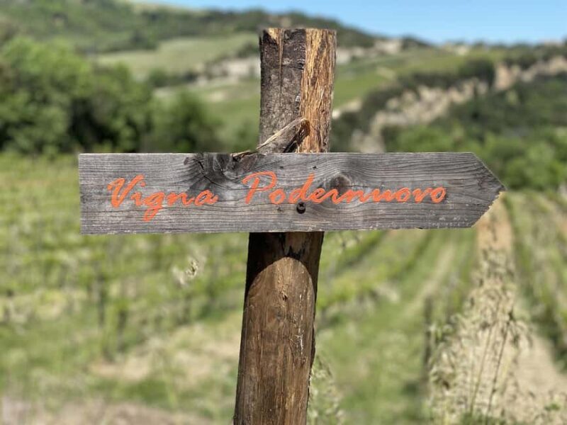 Montalcino: Molino Winery Tour & Wine Tasting - Who Should Consider This Tour?