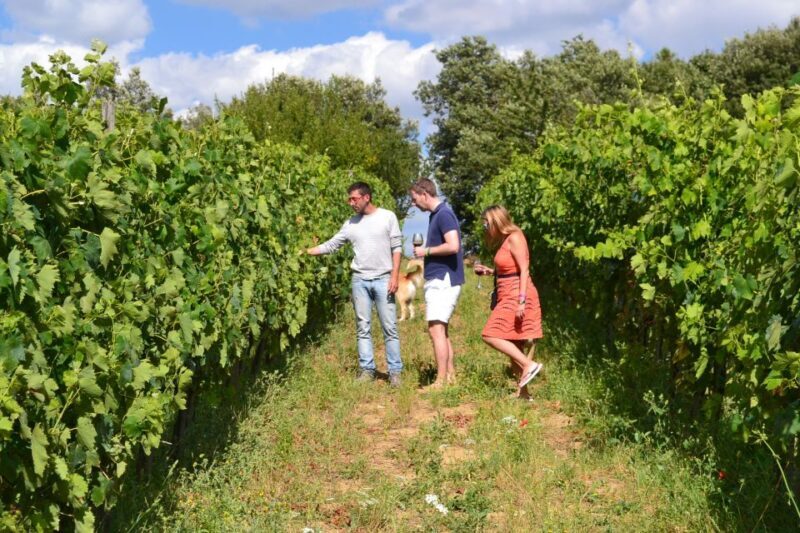 Montalcino: Small-Group Brunello Wine Tour from Florence - FAQ