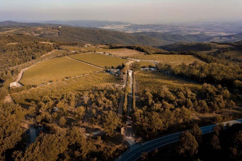 Montalcino: Vertical Tasting - Key Points