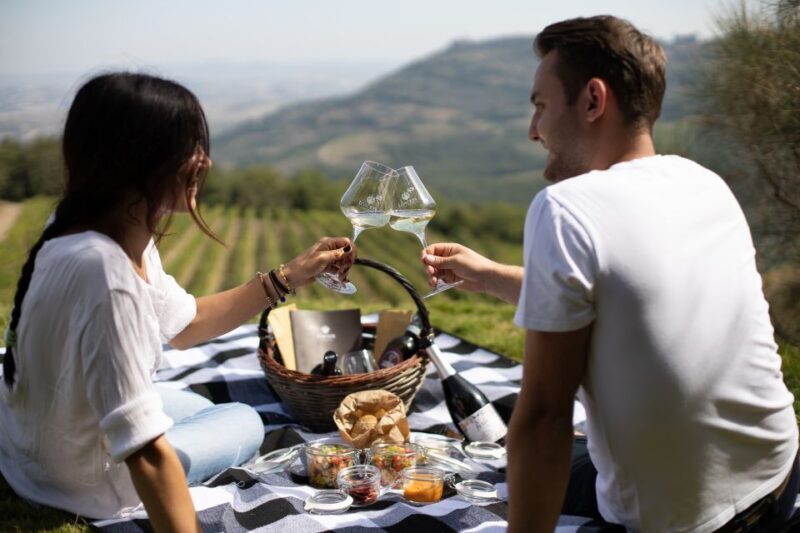 Montalcino: Vineyard Picnic with a Bottle of Wine - Key Points