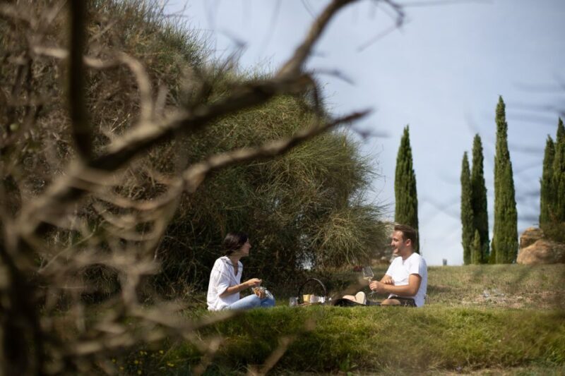 Montalcino: Vineyard Picnic with a Bottle of Wine - What to Expect from the Experience